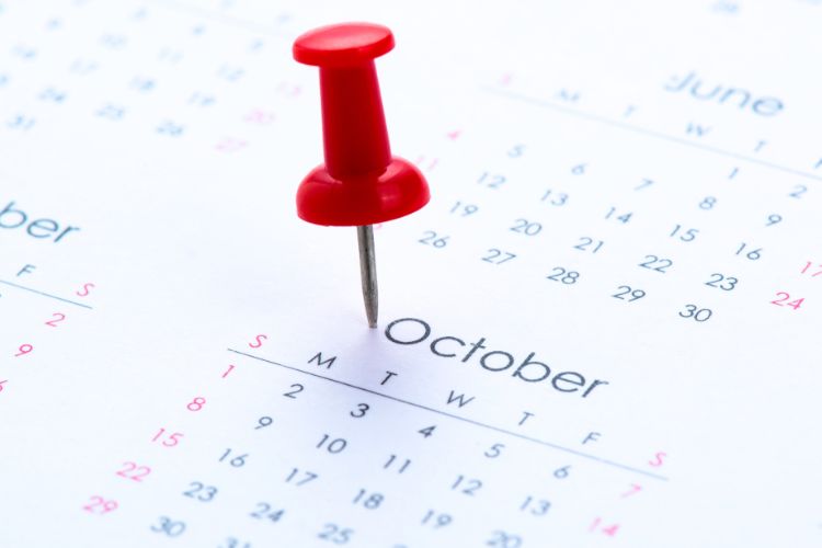 Wann wird das Bürgergeld für Oktober ausgezahlt? An diesen Tag kommt das Geld im September auf dem Konto